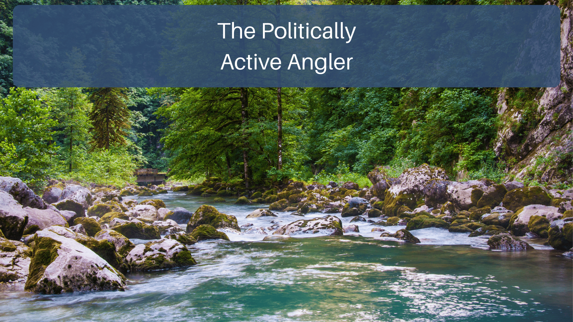 The Politically Active Angler