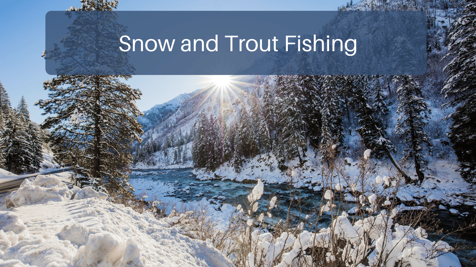Snow and Trout Fishing