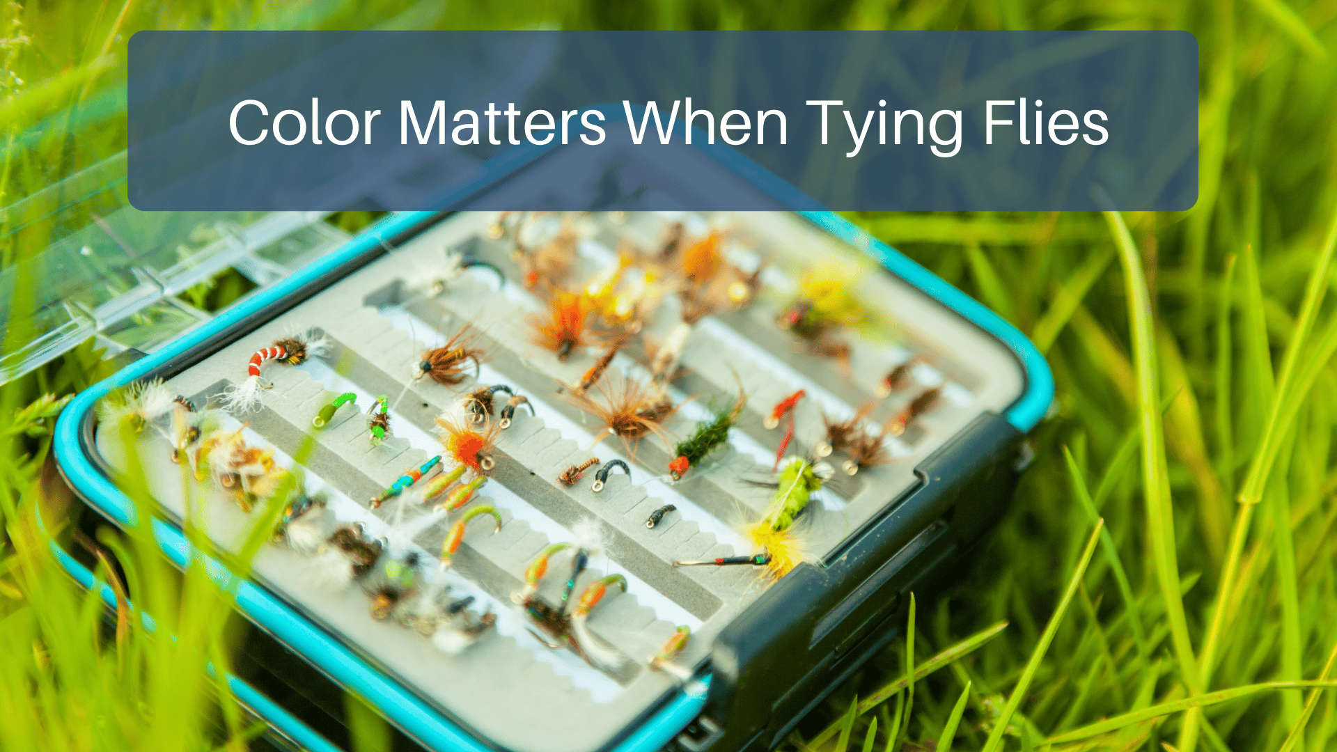 Color Matters When Tying Flies