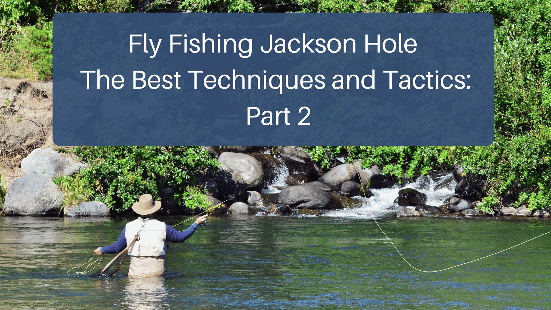 Fly Fishing Jackson Hole The Best Techniques and Tactics: Part 2