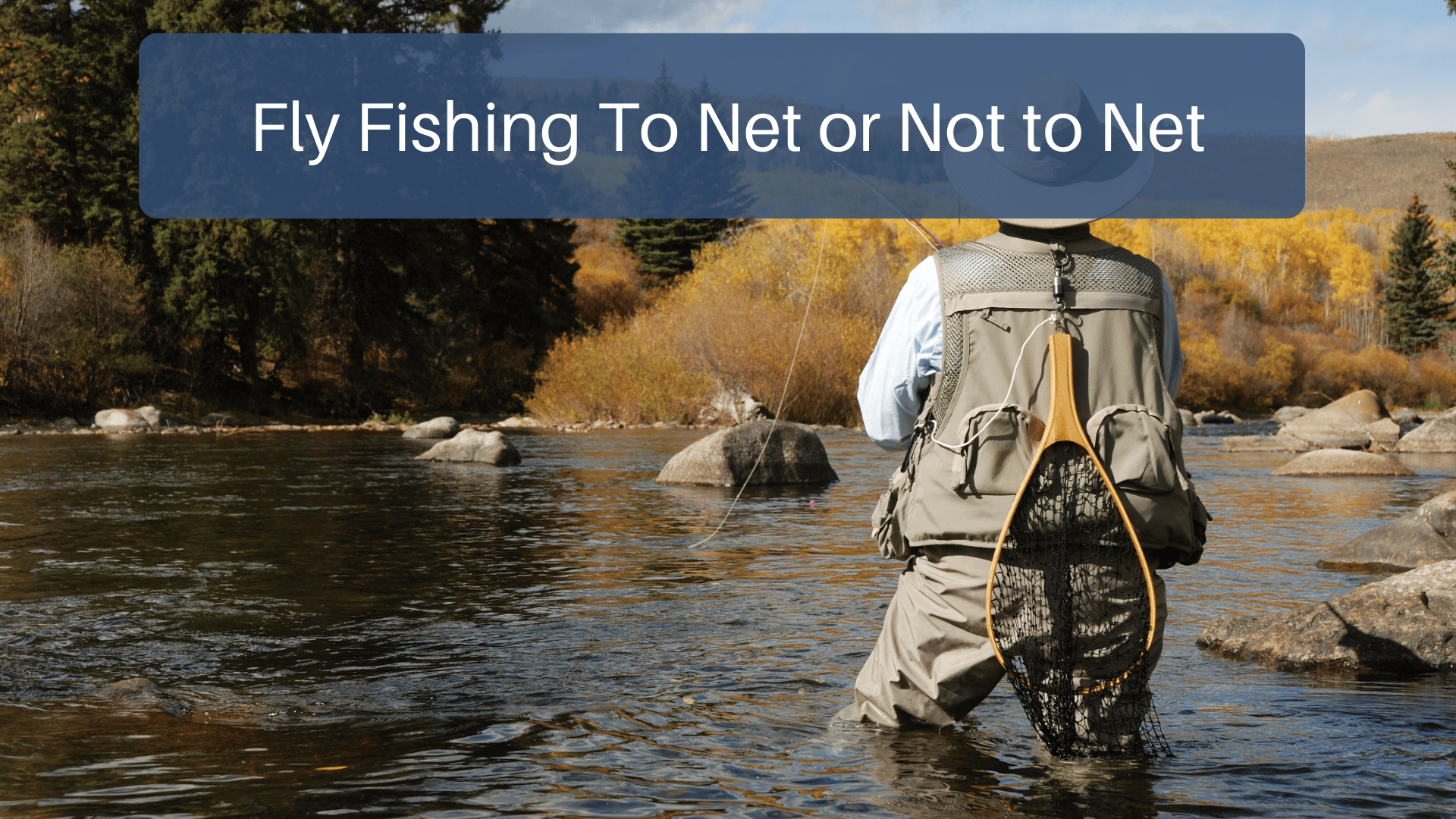 Fly Fishing To Net or Not to Net