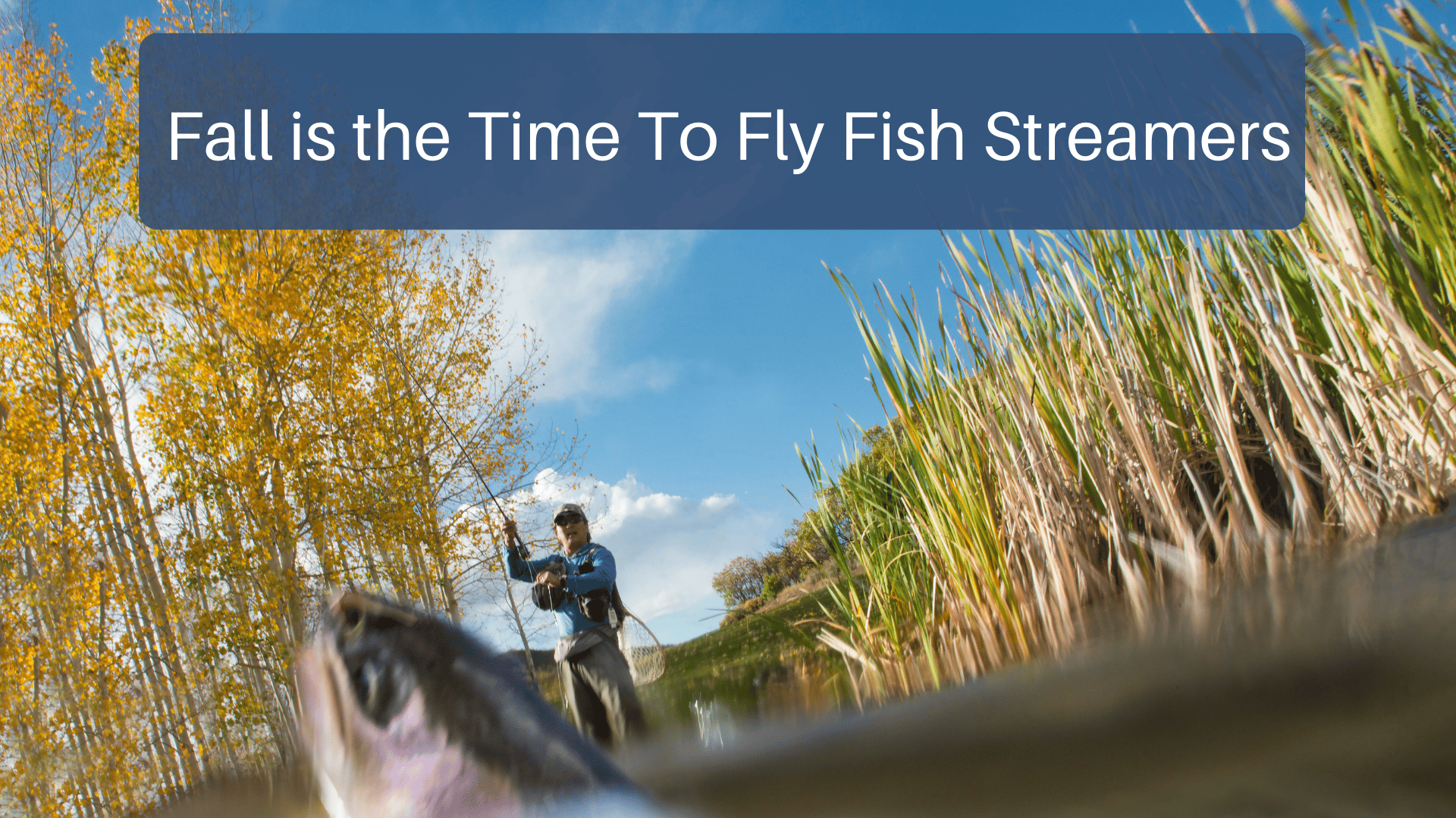 Fall Is The Time To Fly Fish Streamers