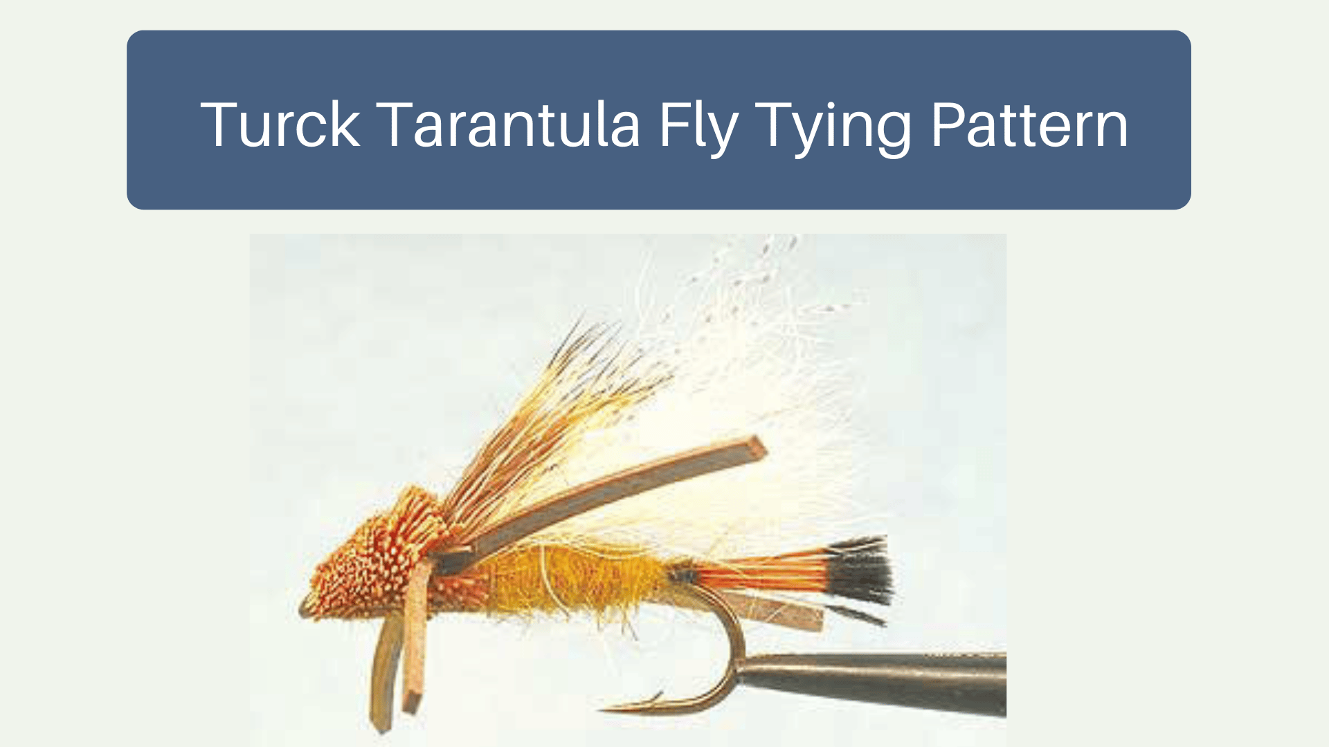 Turck Tarantula Fly Tying Pattern