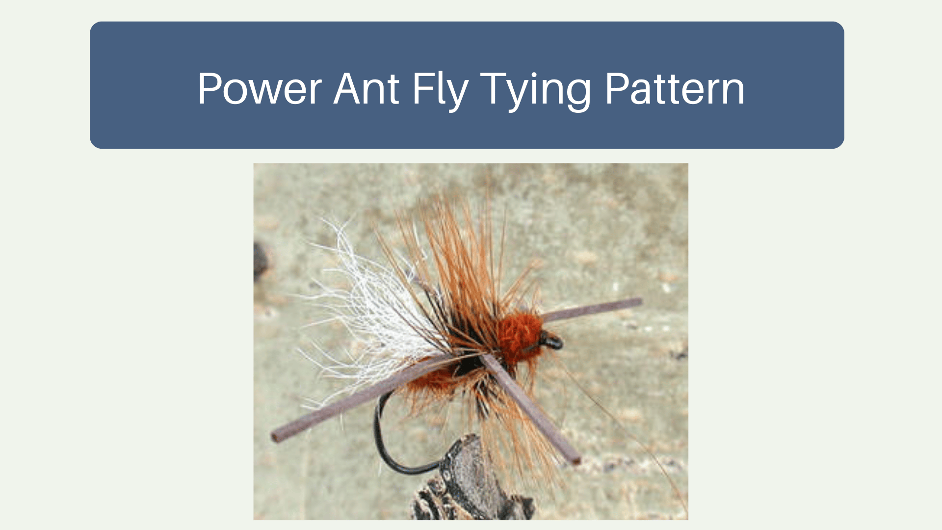 Power Ant Fly Tying Pattern