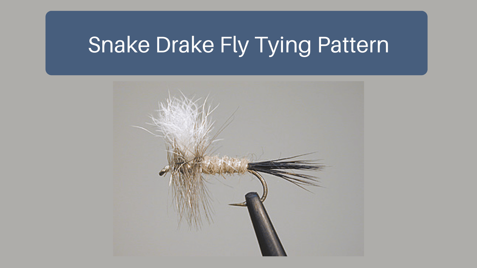 Snake Drake Fly Tying Pattern
