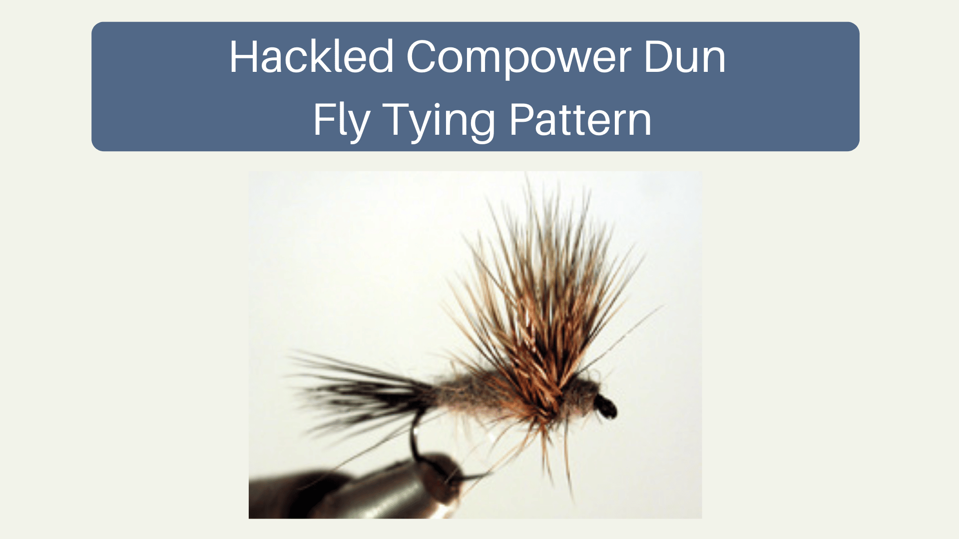 Hackled Compower Dun Fly Tying Pattern