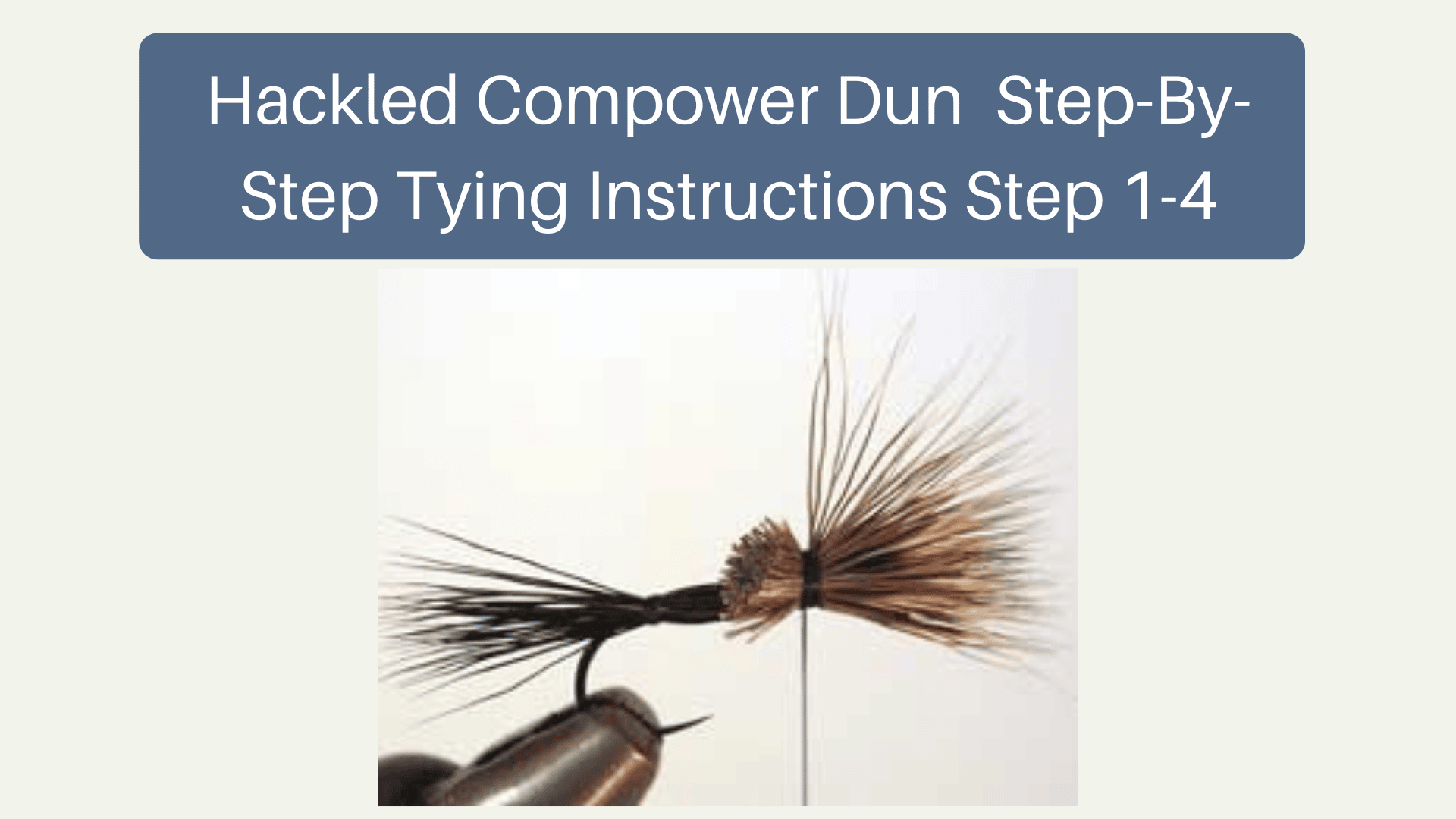 Hackled Compower Dun  Step-By-Step Tying Instructions Step 1-4