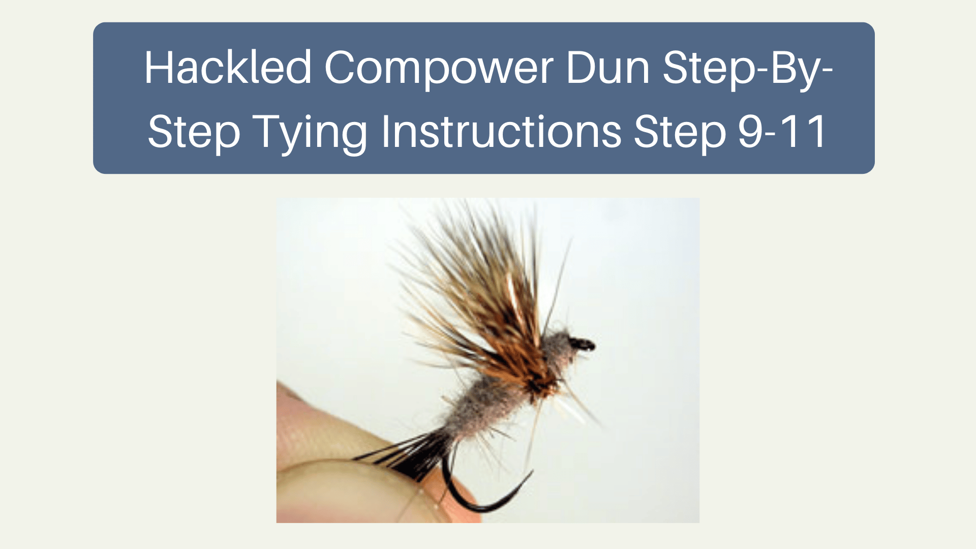 Hackled Compower Dun  Step-By-Step Tying Instructions Step 9-11