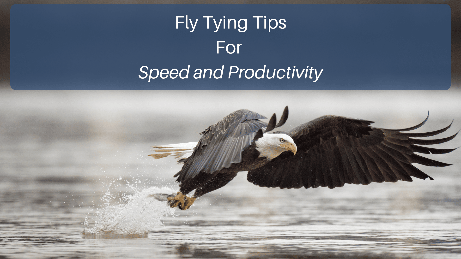 Fly Tying Tips for Speed & Productivity